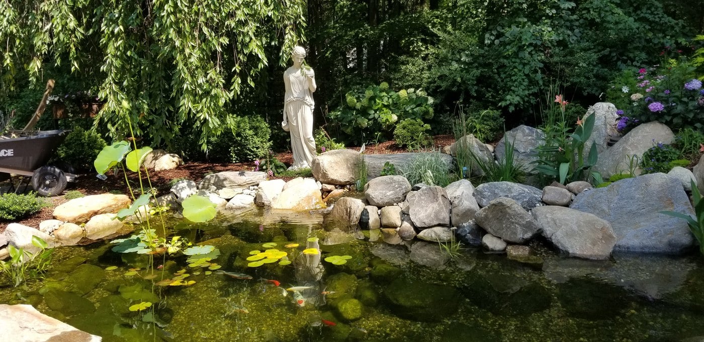 20180727_105411