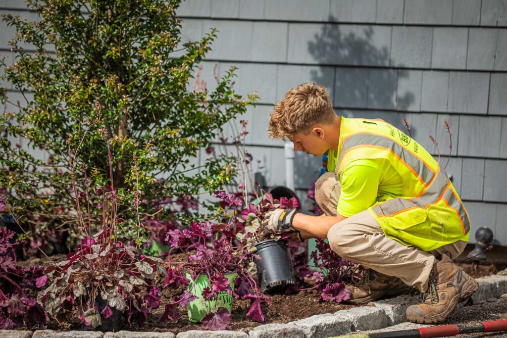 Bahler Brothers crew member planting new shrubs and perennials during a residential landscape installation in Avon, Connecticut