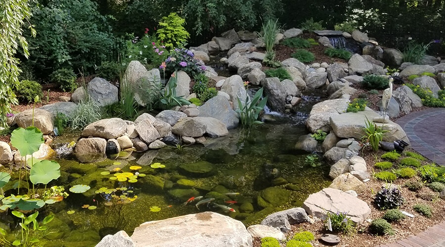 koi pond with 2 streams and wetland bio filter