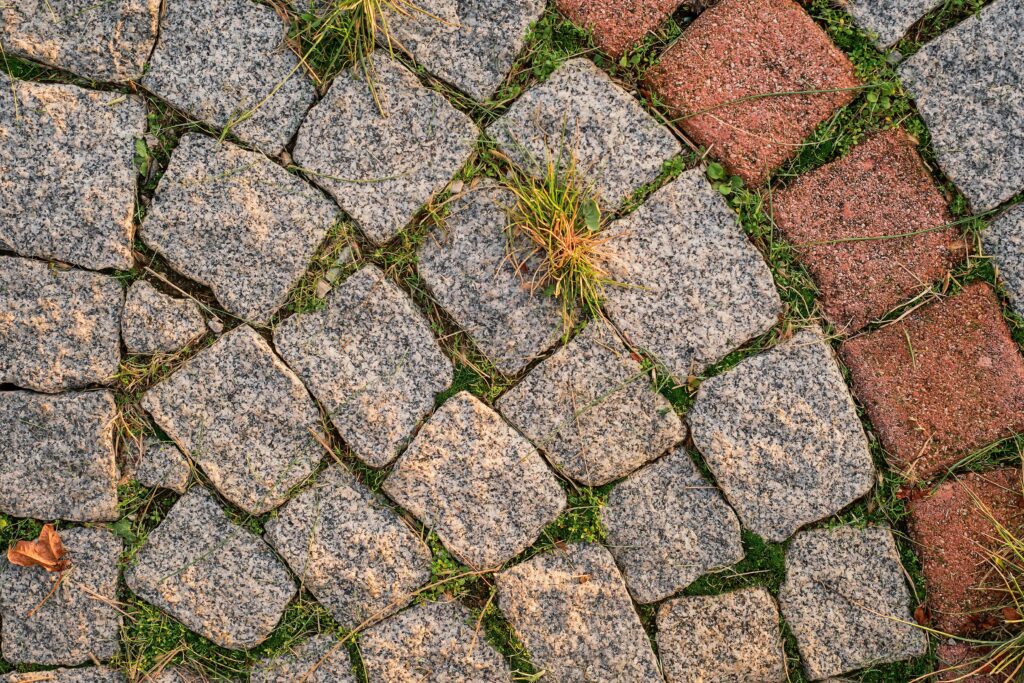 paver patios stone with weeds growing in between