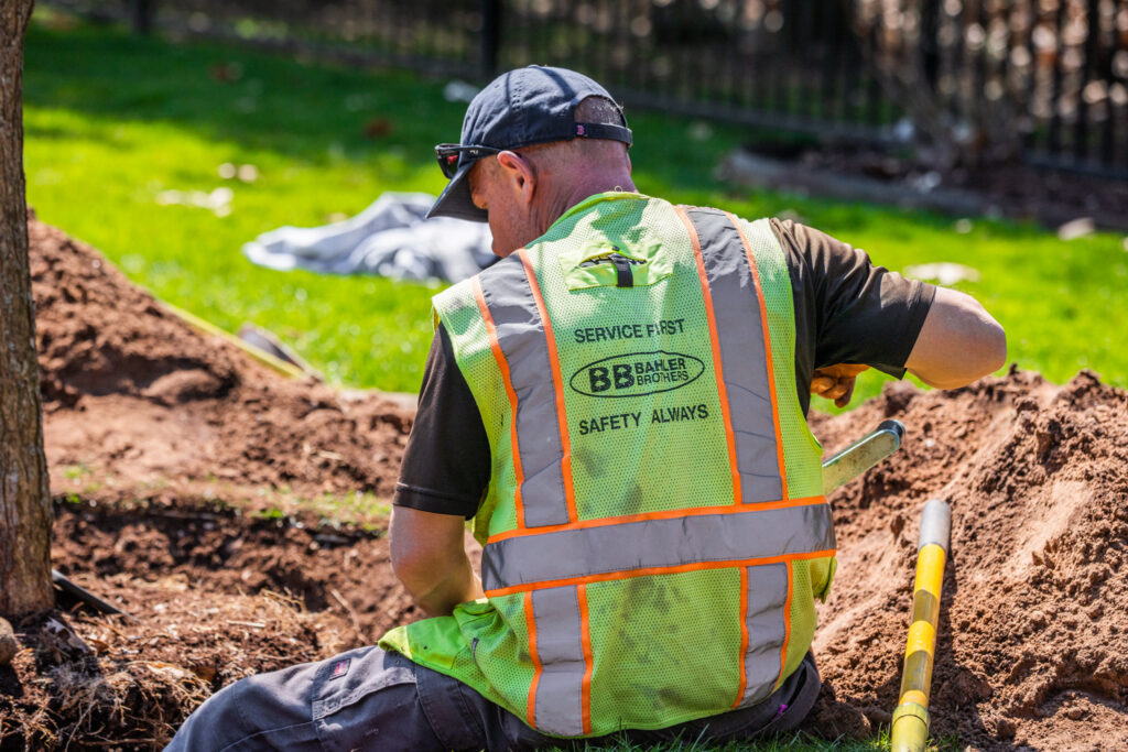 landscape maintenance bahler brothers tree transplant